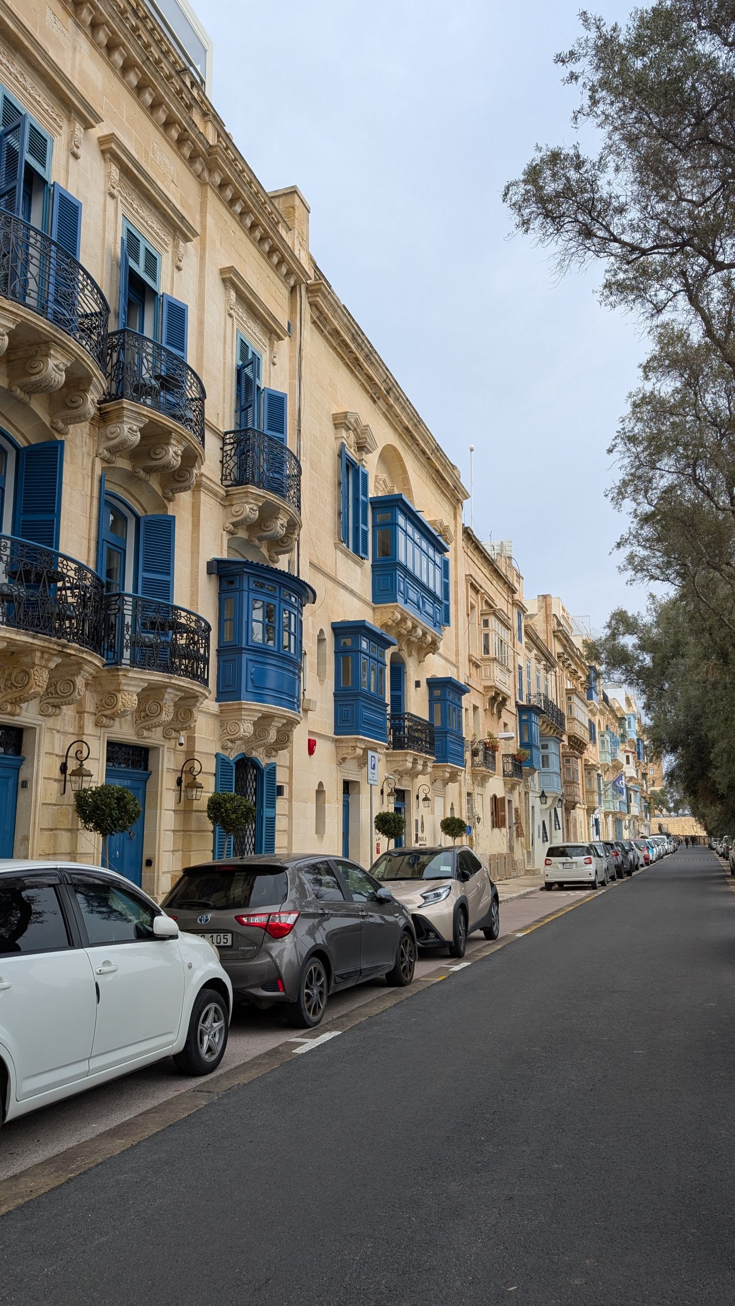 pxl 20250312 104711031