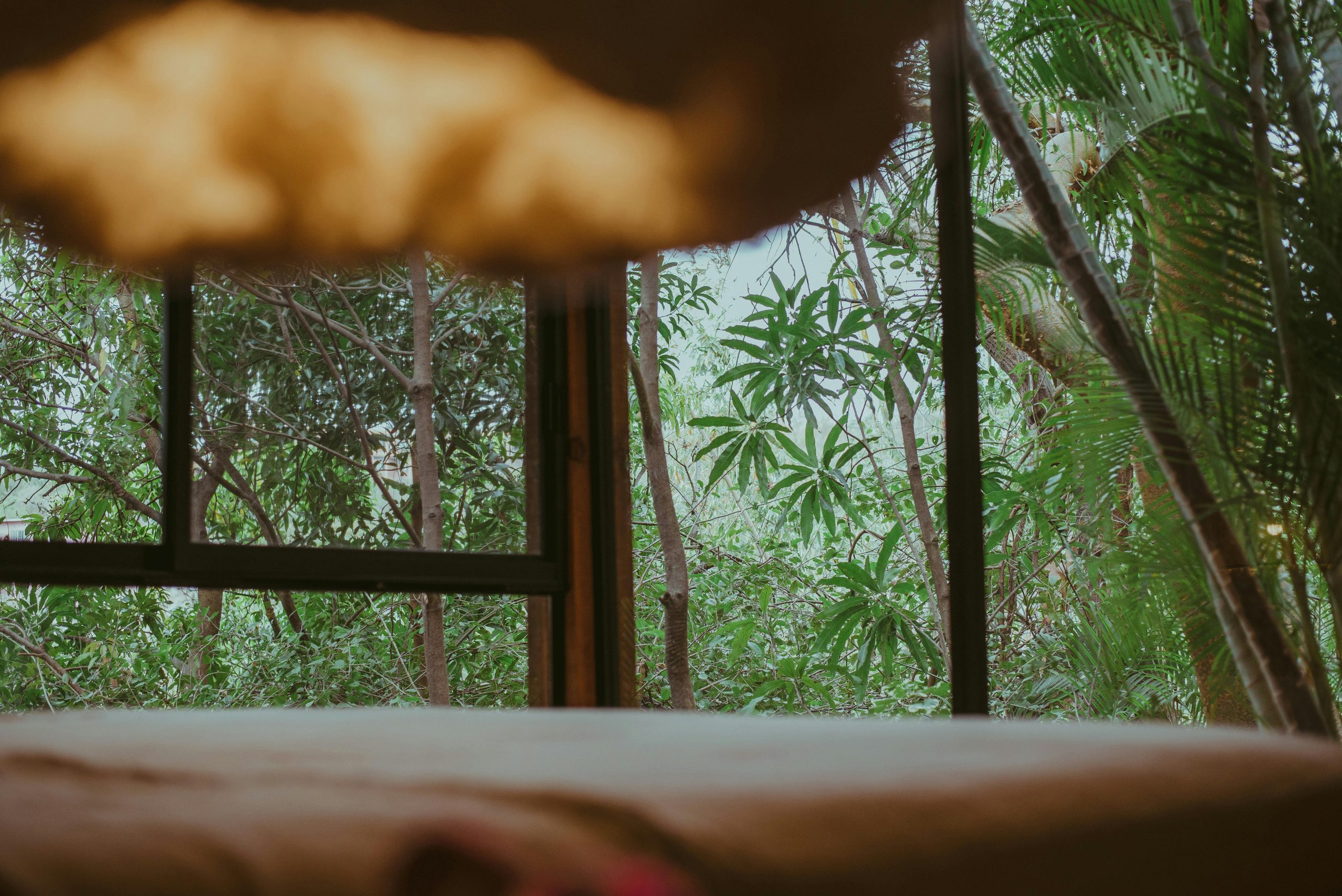 Inviting tropical room interior with greenery outside a large window, perfect for relaxation.